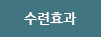 수련효과